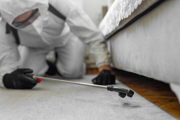 Professional Wasp Control technician working in Quinnipiac University, CT