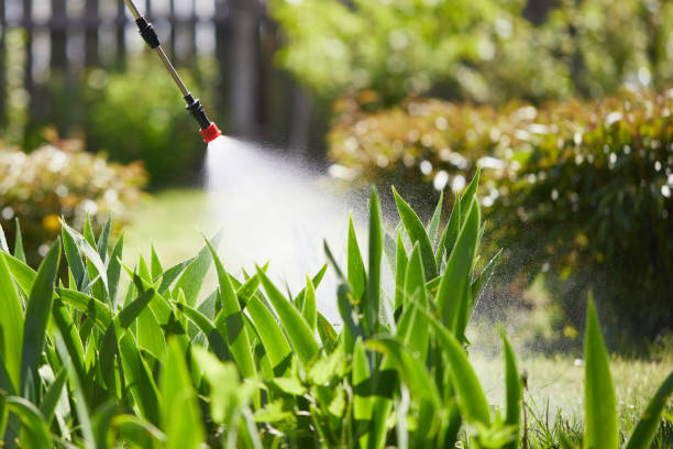 24/7 Emergency Mosquito Control experts in Quinnipiac University, CT