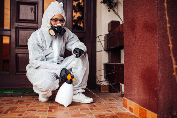 Reliable Mosquito Control contractor in Quinnipiac University, CT by Nex Pest Control
